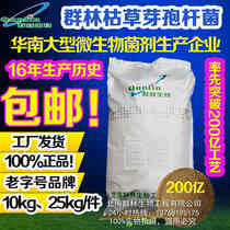 Authentic Qunlin biological 20 billion Bacillus subtilis strain strong activity dedicated to aquatic feed planting