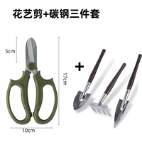 Ножницы для цветов (случайные цвета) + набор из трех предметов из углеродистой стали