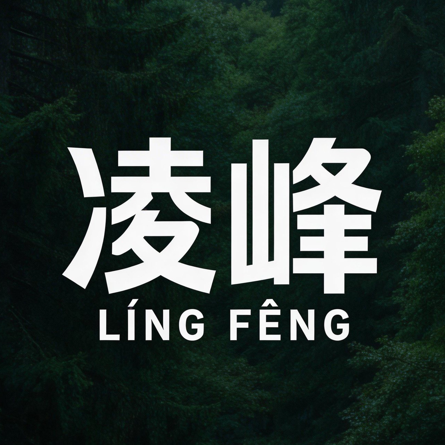 凌峰旗舰店