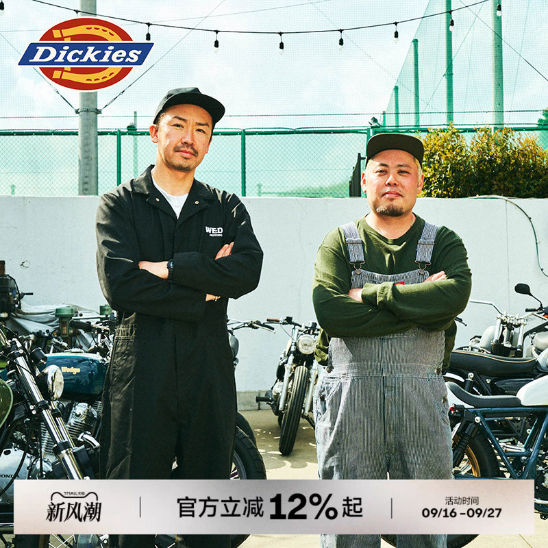 Dickies Classic Striped Overalls with Multiple Pockets, Unisex Workwear for Couples J