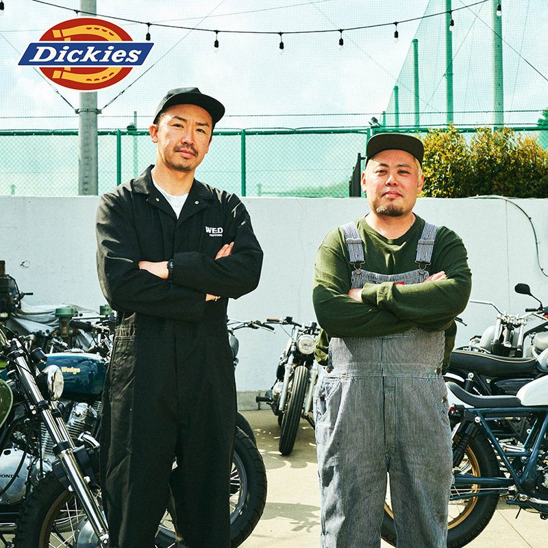 Dickies Classic Striped Overalls with Multiple Pockets, Unisex Workwear for Couples J