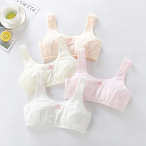 Teenage Girl Lingerie Hair Development Period Little Vest Girl Big Boy Junior High Middle School Students 12-16 Year Old Pure Cotton No Steel Ring Bra
