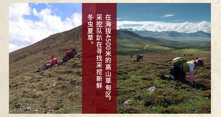 Подробности 16.jpg