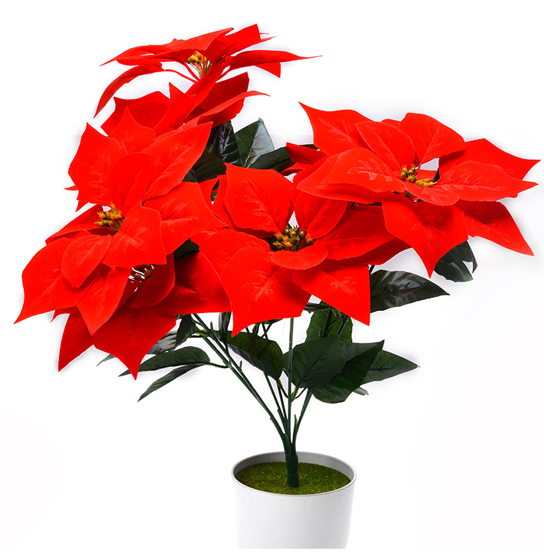 Mô phỏng hoa lụa hoa giả màu xanh lá cây anthurium Giáng sinh hoa trạng nguyên trang trí trưng bày trong chậu 7 hoa - Hoa nhân tạo / Cây / Trái cây hoa tử đằng giả