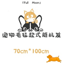 Pet blanket cartoon animation simple fleece blanket flannel welfare loss clearing miscellaneous items random delivery