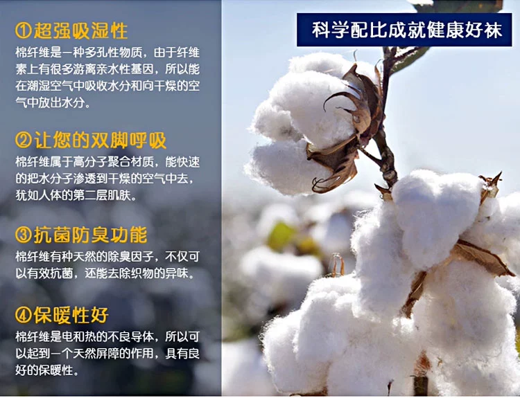 Vớ nữ màu đen cotton bốn mùa dành cho nữ mỏng trong ống cotton vớ vớ kinh doanh cotton nam vớ trắng thể thao vớ thuyền - Bít tất nữ