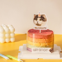 Pet Birthday Rainbow Homemade Cake Pure Meat Pooch Cake Kitty Dog No Pigmented Chicken Generic Send Avatar