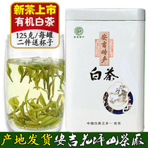 2021 new tea authentic Anji White Tea 125 kming before Special Grade spring tea bulk green tea