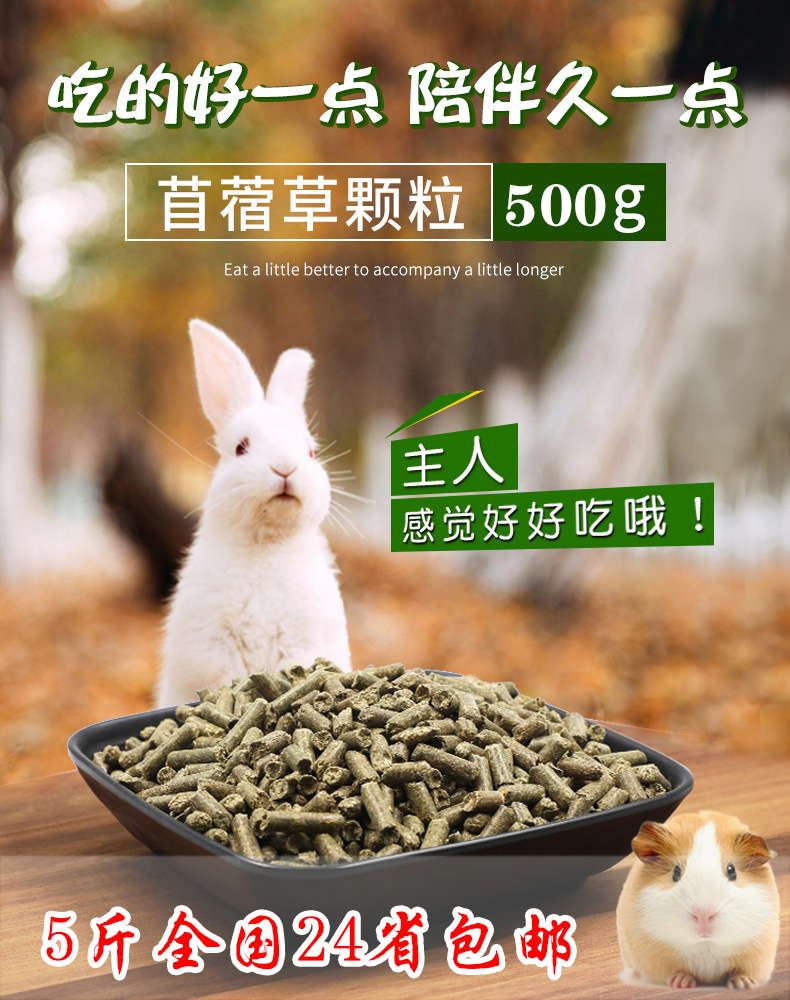 Rabbit lop ear rabbit cat cat rabbit guinea pig guinea pig guinea pig staple food grain feed 1 jin pack 5 jin