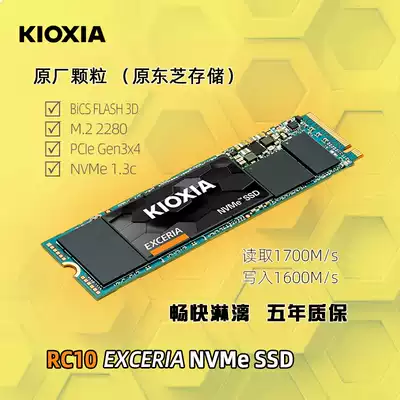Kioxia armor RC10 500g 250g SSD NVMe M 2 solid state drive original Toshiba RC500