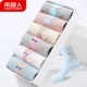 Vớ cotton nam cực 6 cặp quà tặng cotton ống cotton thoáng khí vớ sinh viên Hàn Quốc dễ thương vớ gia vị tất cotton đẹp