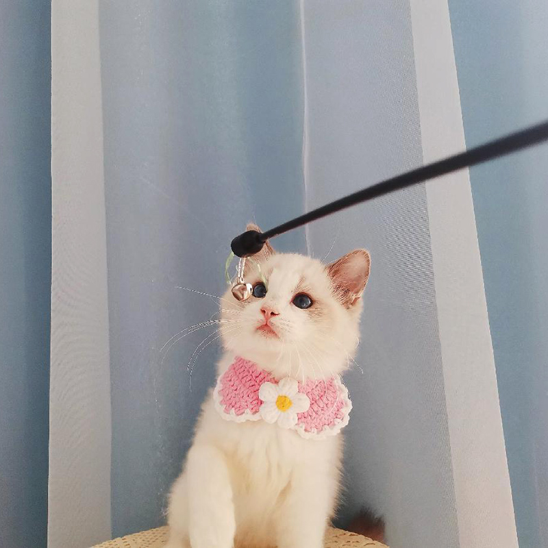 Pet Scarf puppies Kitty Neckline Hand-woven Photo Selling Cute Ornament Mini puppet Beauty Short Incubation Short Bears 