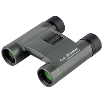 Kenko肯高 双筒望远镜  Avantar 10×25 DH WP 演唱会 户外旅行 专业10倍高清 小型便携 观鸟 儿童适用