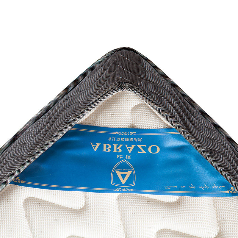 ʩ����ŷ������ϯ��˼�齺����05