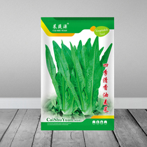 Lettuce seeds green vegetables fragrant rice fragrant without spots heat-resistant and high-yield spring and autumn balcony potted vegetable seeds