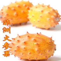 African fire ginseng fruit seeds Mars fruit Melon Melon Melon fire ginseng fruit seed seedlings Mars fruit seeds autumn Four Seasons vegetables