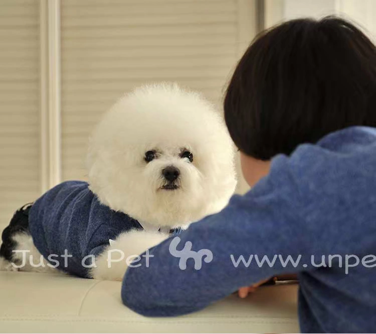 UNPET Breguet Pet Dress Quần áo Teddy Bear Bear Áo thun dài tay Áo khoác nịt màu xanh Chó Áo len Hàn Quốc - Quần áo & phụ kiện thú cưng