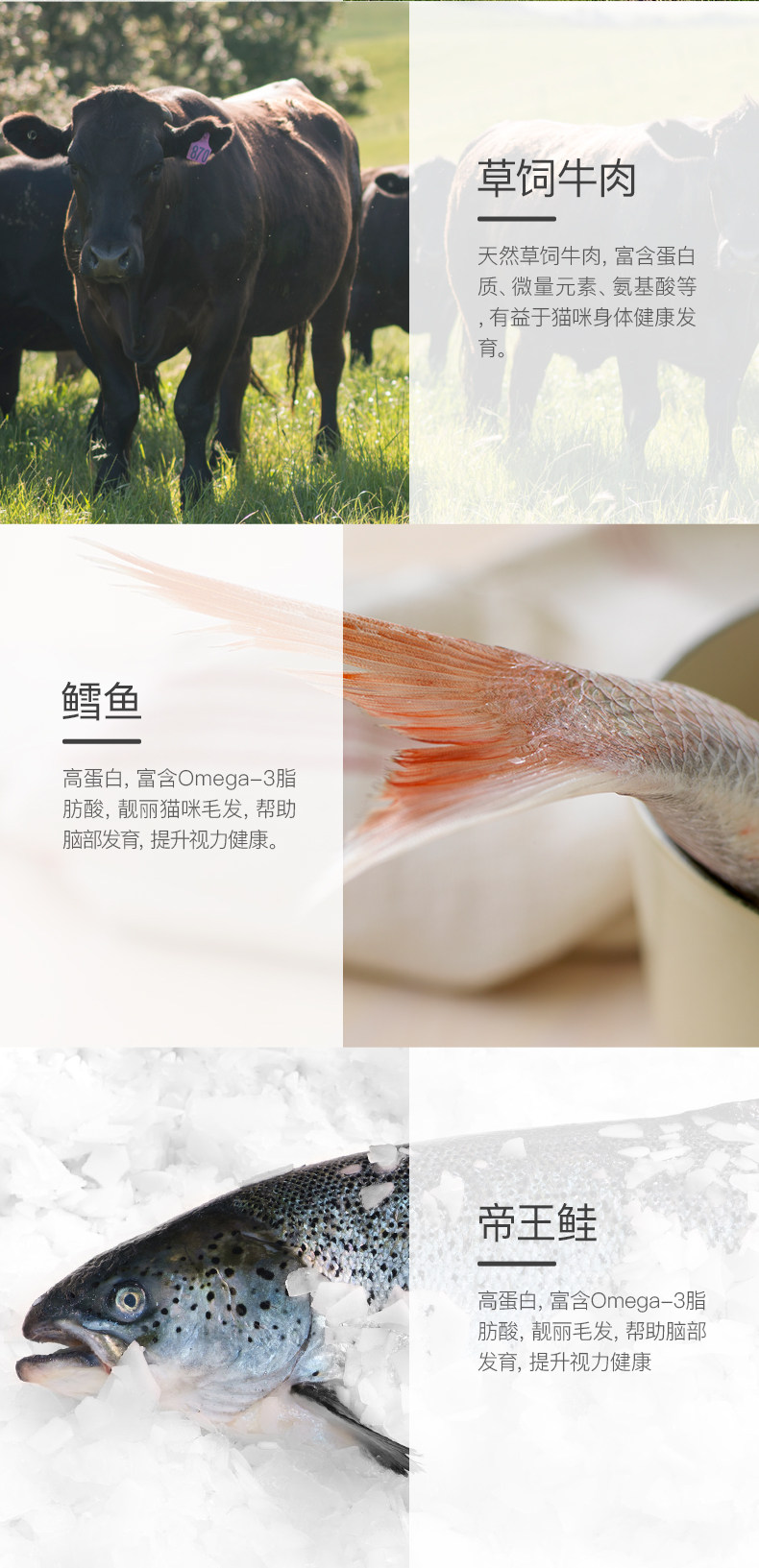 Кошки закуски 新西兰进口k9天然无谷成猫幼猫主食罐头湿粮170g/85g营养鸡肉牛肉 K9natural