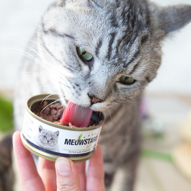Meowda eco red meat canned cat ໂພຊະນາການຜົມ gills ນໍາເຂົ້າ aspic wet foods into young cat meat snacks 80g free shipping