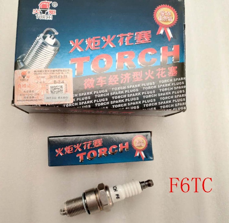 Petrol engine spark plug fire nozzle 168177190F Small plowing machine booster oil saw trimmer F6TC quality torch