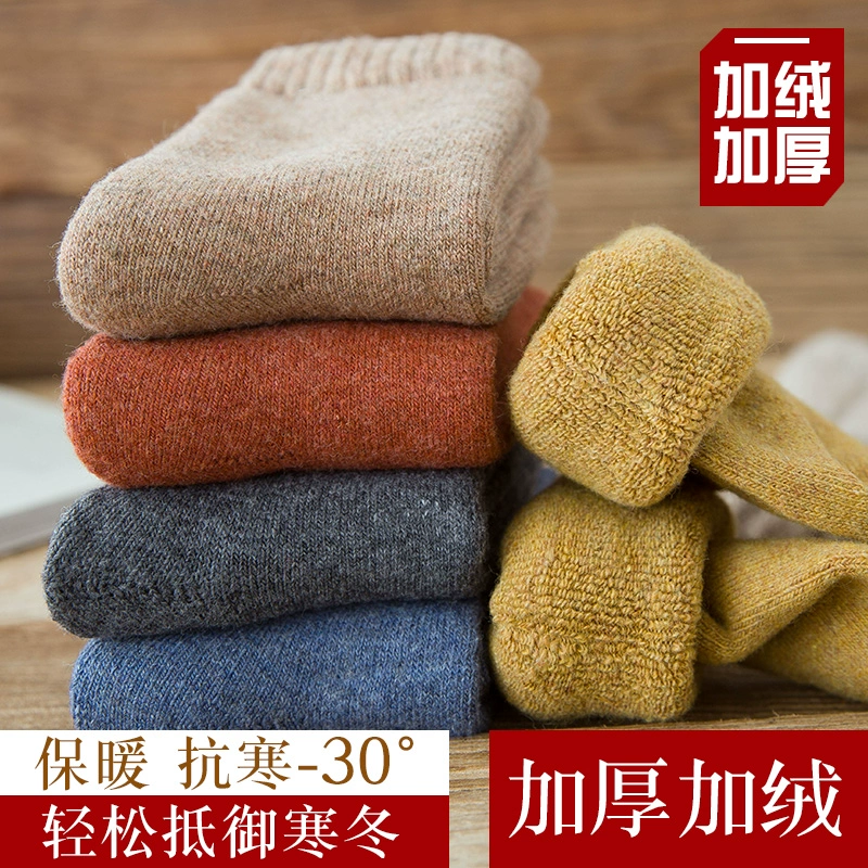 Vớ nữ vớ mùa thu và mùa đông dày ấm dài ống cộng với khăn nhung vớ ngủ giam vớ cotton mùa đông vớ - Vớ bông