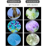 Bresser/宝视德 Детский микроскоп для школьников, научно-популярный комплект для экспериментов, увеличение в 2000 раз, для средней школы