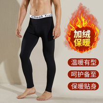 Pure cotton fabric fleece thickened warm leggings