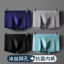 Cat Men Mens Underwear Summer Ice Silk Mesh Boxer Mens Modal Antibacterial Breathable Boys Boxer Shorts