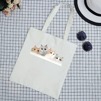 Четыре кошки белые