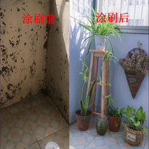 Waterproof sunscreen coating Water-based exterior wall latex paint Color white wall paint Outdoor bathroom wall paint