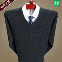 Áo len mới mùa xuân tre 100% cashmere nam trung cổ chữ V dài tay áo thun đan đáy áo len dày áo len cardigan nam