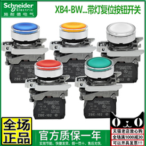 Imported Schneider LED illuminated push button switch XB4BW33 34 35 36B5 31M5 24 220V