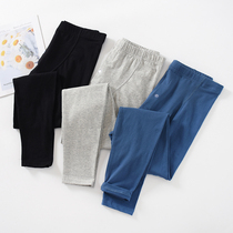 Spring Autumn Season Pure Cotton Autumn Pants Mens Single Piece Full Cotton Knit Elastic Body Slim Fit Underfloor Warm Pants Cotton Wool Thread Lining Pants