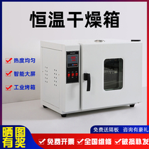 Electric constant temperature blast drying oven laboratory industrial small high temperature oven vacuum aging dryer oven