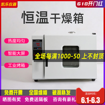 Electric constant temperature blast drying oven laboratory commercial industrial oven size oven vacuum high temperature drying box