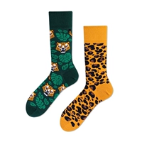 Пятнистый леопард