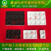 Xingyi Brand 2 holes 6 holes 12 holes black white ceramic reaction plate well hole plate colorimetric spot drip plate