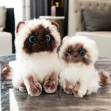 Реалистичная плюшевая игрушка, милая детская тряпичная кукла, котенок, кот, подарок на день рождения