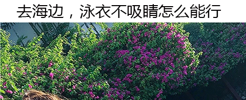 Đồ bơi cặp đôi mới 2018 mẫu Hàn Quốc phù hợp với mẫu đồ bơi nữ ba mảnh gợi cảm đi biển đi biển - Vài đồ bơi