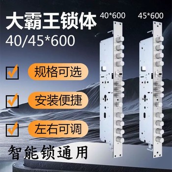 40/45*500/600 35*388 big overlord dual fast dual active smart fingerprint lock body anti-theft door lock accessories