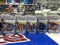 Shapegold TFP Leaders certificate soldier Class D Alsi Large Hornet Jack Black Widow