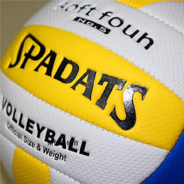 Ballon de volley-ball - Ref 2010013 Image 28