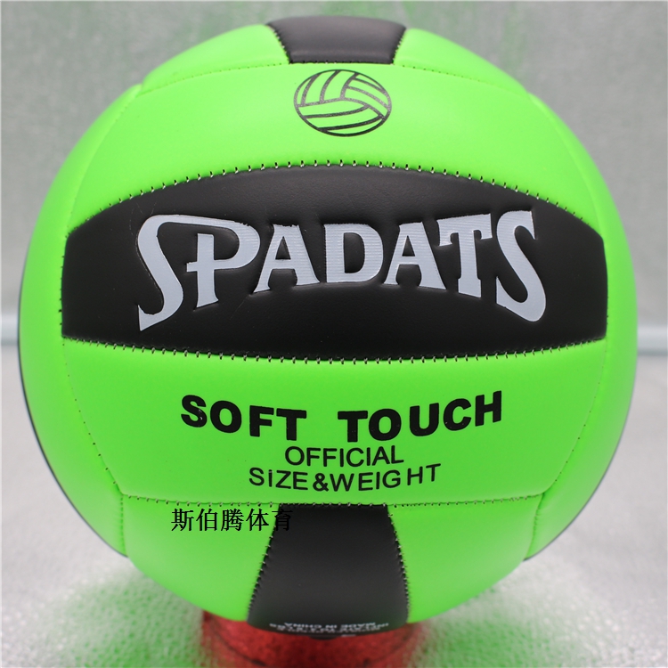 Ballon de volley - Ref 2009816 Image 27