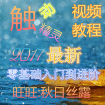 Touch the wizard 2017 latest introduction zero base to advanced original video tutorial