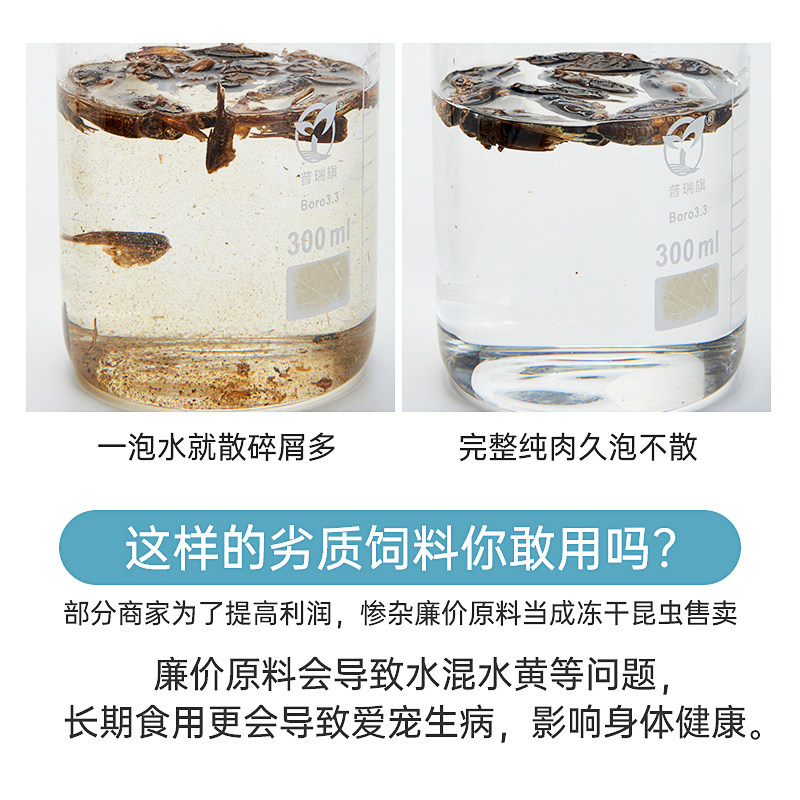 养宠物用冻干白蟋蟀靠谱吗？2026新手必备喂养攻略