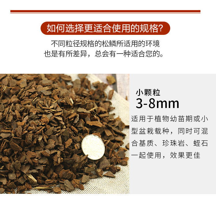 Pine Bark_04.jpg
