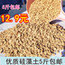Diatomaceous đất Số lượng lớn lát đường mọng nước Cung cấp làm vườn 1-3-6mm Khuyến mãi bình xịt cây Nguồn cung cấp vườn