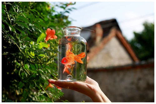 Новый креативный дорожный фотосъемка, имитация золотой рыбки, реквизит для свадебной фотосъемки, студийная фотосъемка на открытом воздухе, детский реквизит для фотосъемки, золотая рыбка