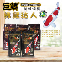 Shenyang giant scale red and white three-color body fish food Koi fish feed color fish food Ornamental fish feed floating particles