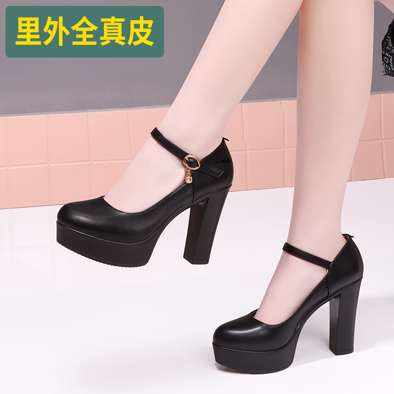 2022 Spring Cowhide Chunky Heel Comfortable Runway Shoes Pigskin Lining High Heel Shallow Round Toe Platform Women's Shoes